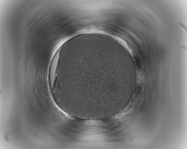 X0000097290863200802221310