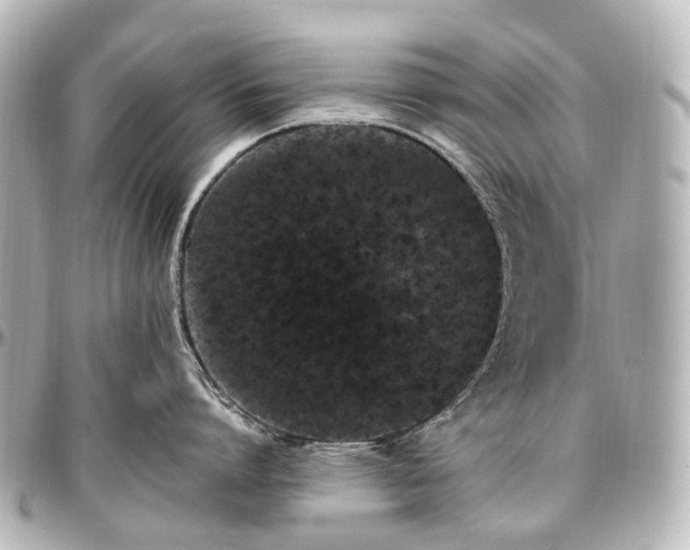 X0000097290864200802221310