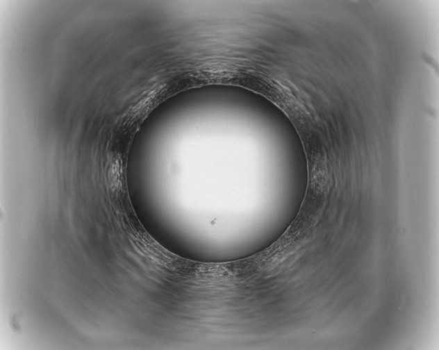 X0000097290866200802221310