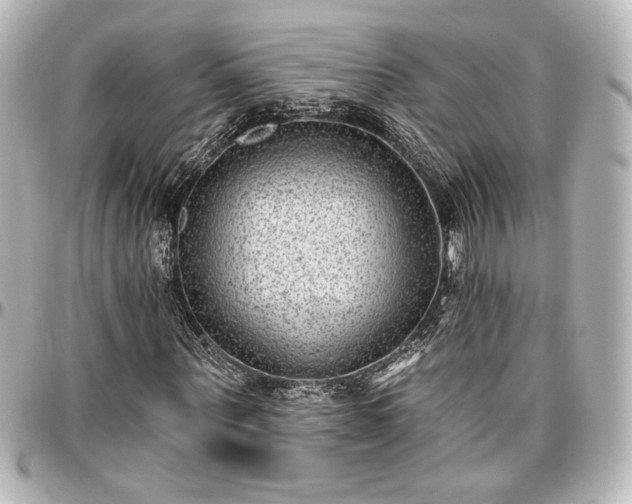 X0000097290867200802221310