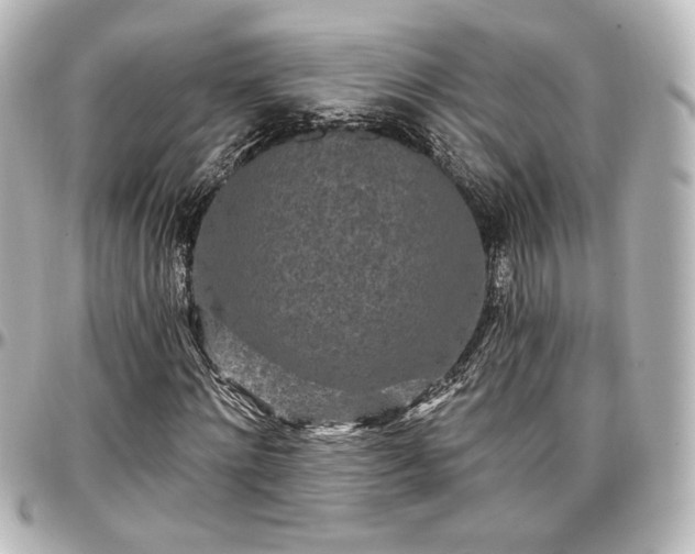 X0000097290868200802221310