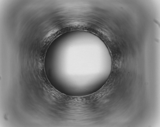 X0000097290869200802221310
