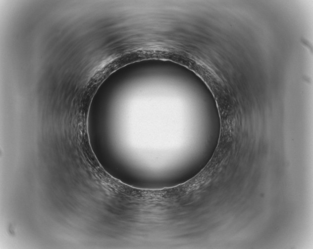 X0000097290870200802221310