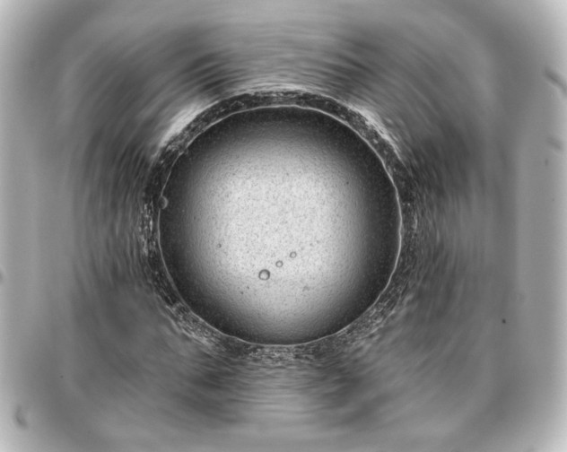 X0000097290871200802221309