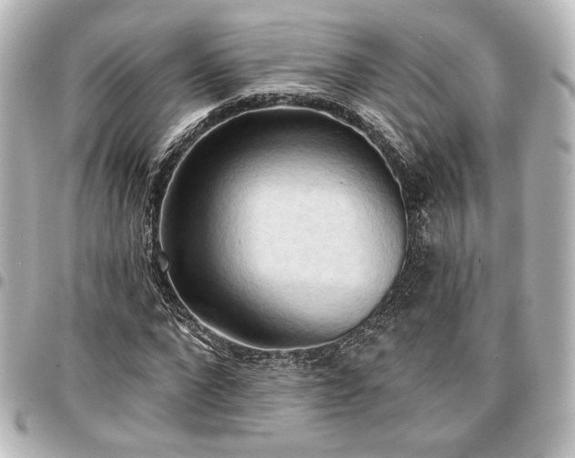 X0000097290872200802221309