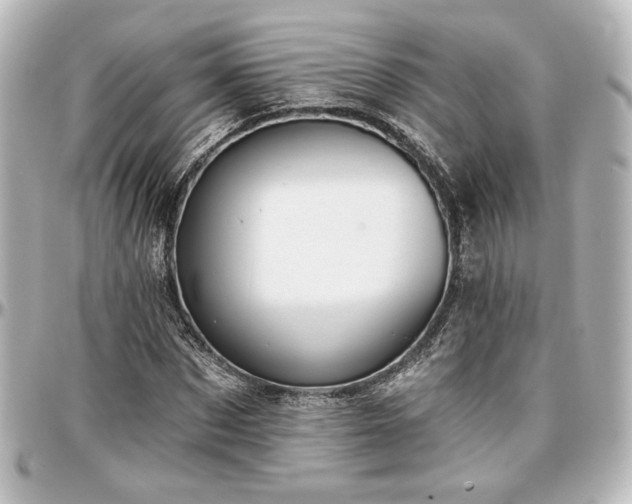 X0000097290873200802221309