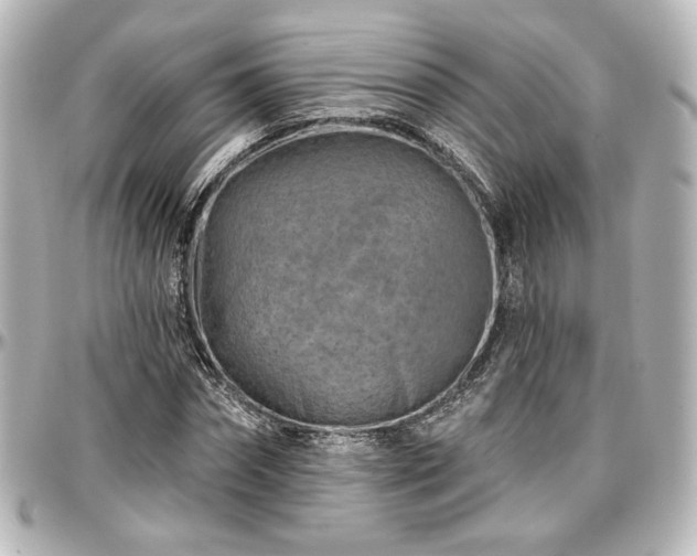 X0000097290874200802221309