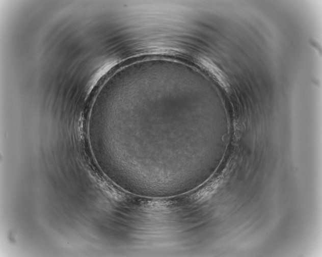X0000097290875200802221309