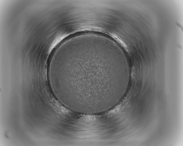 X0000097290877200802221309