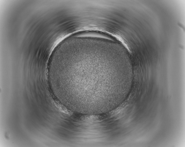 X0000097290879200802221309