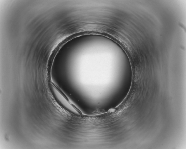 X0000097290880200802221309