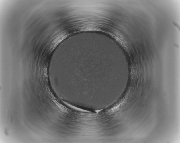 X0000097290881200802221309
