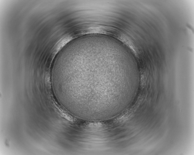 X0000097290882200802221309