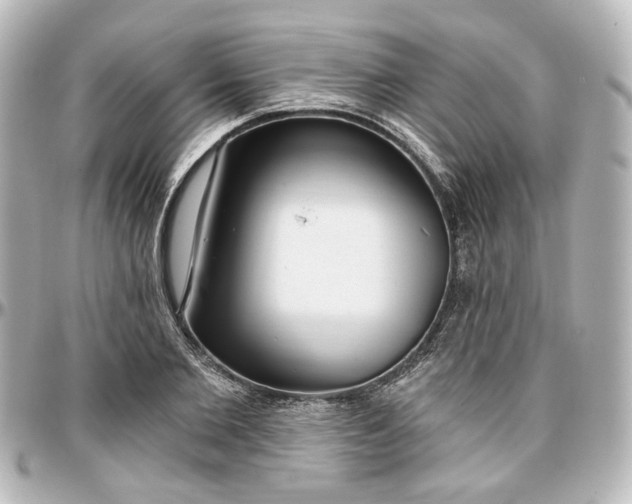 X0000097290885200802221309