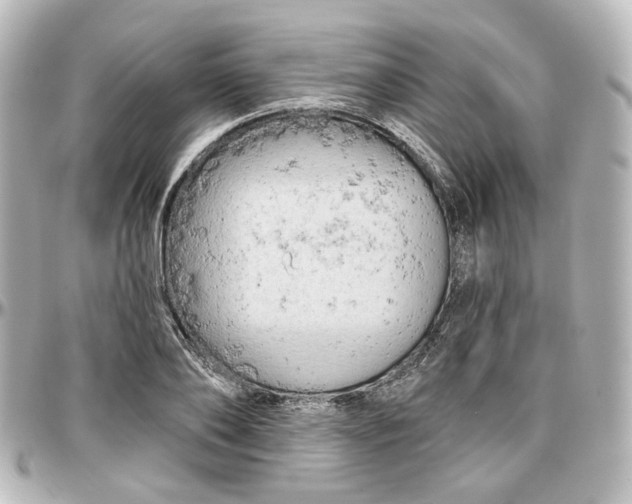 X0000097290886200802221309