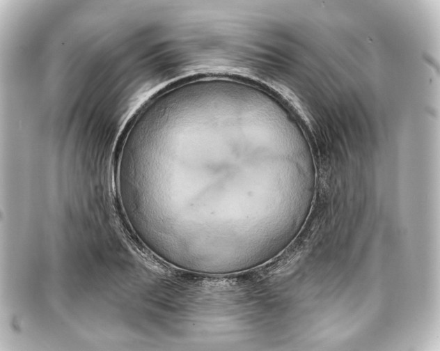 X0000097290887200802221309
