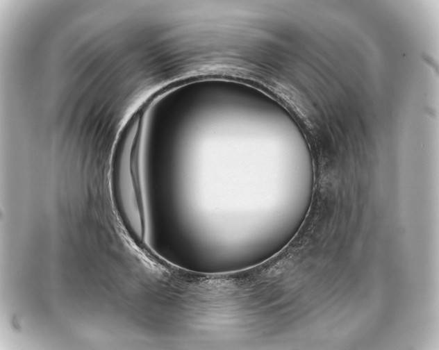 X0000097290888200802221309