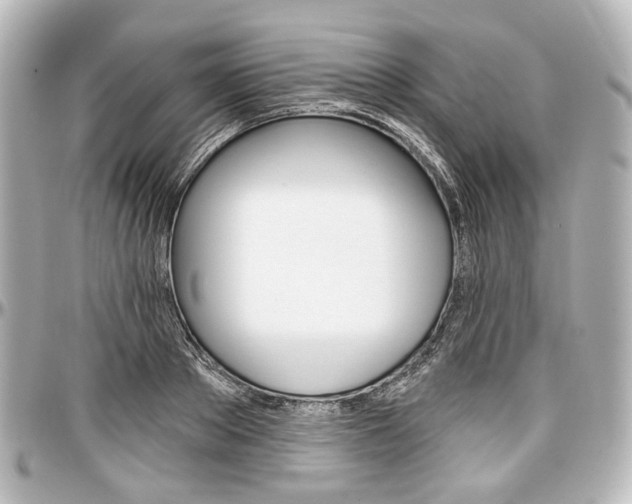 X0000097290889200802221309