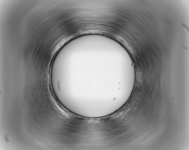 X0000097290890200802221309