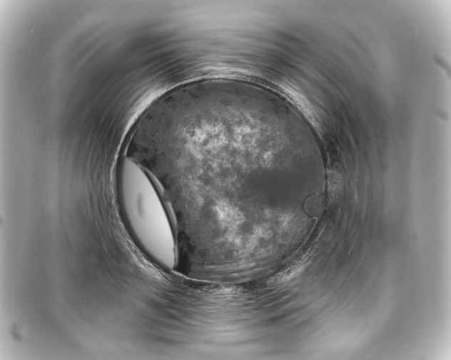 X0000097290891200802221309