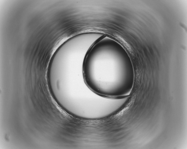 X0000097290893200802221309