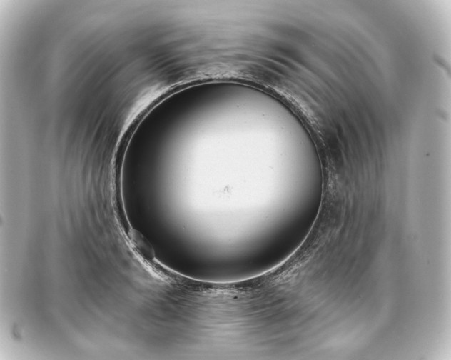 X0000097290894200802221309