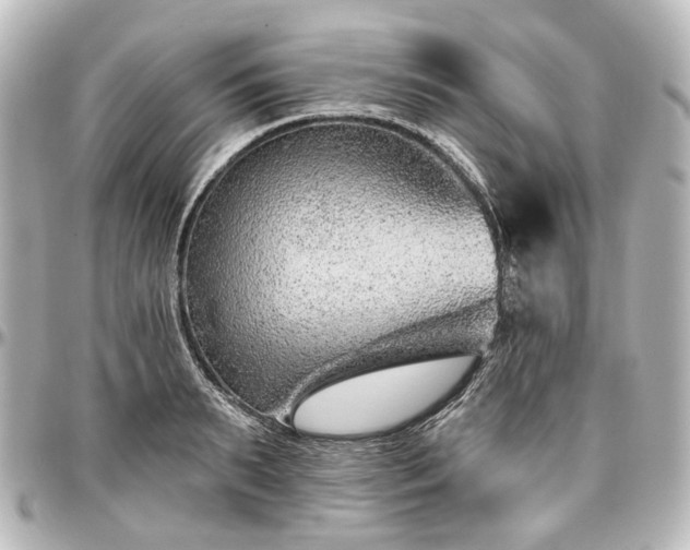 X0000097290895200802221309