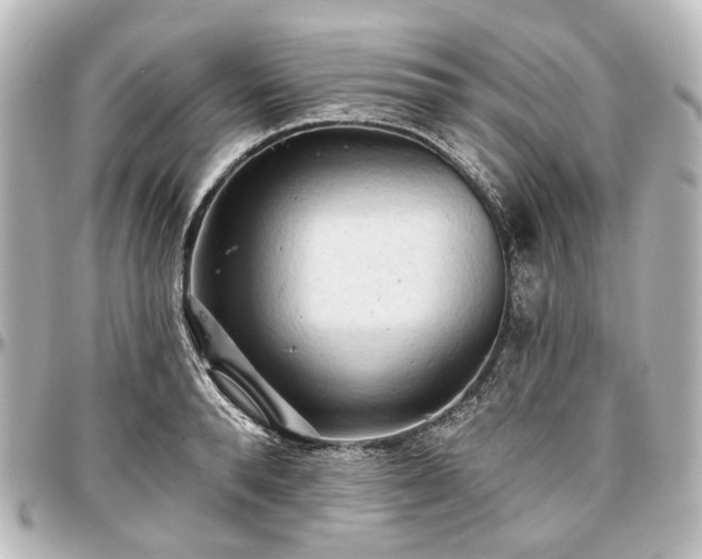 X0000097290896200802221309