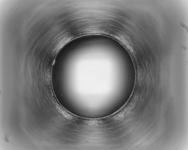 X0000097290897200802221309