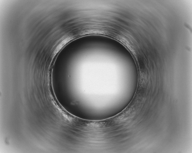 X0000097290898200802221309