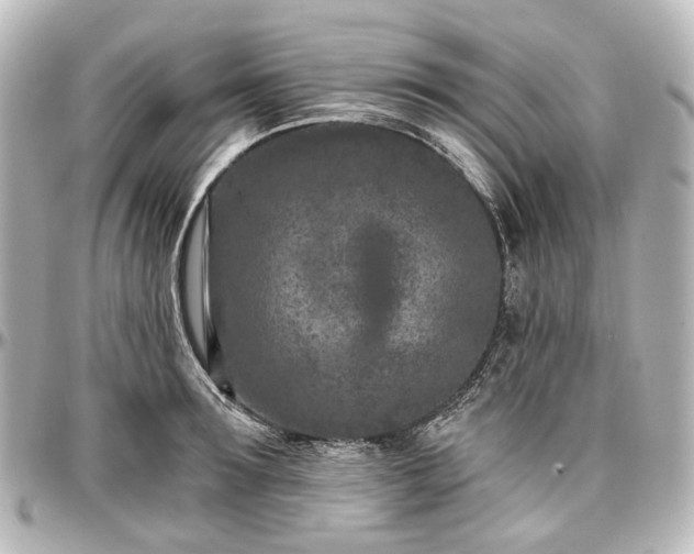 X0000097290899200802221309
