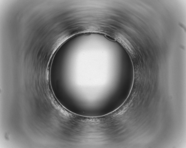 X0000097290900200802221309