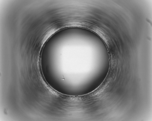 X0000097290901200802221309