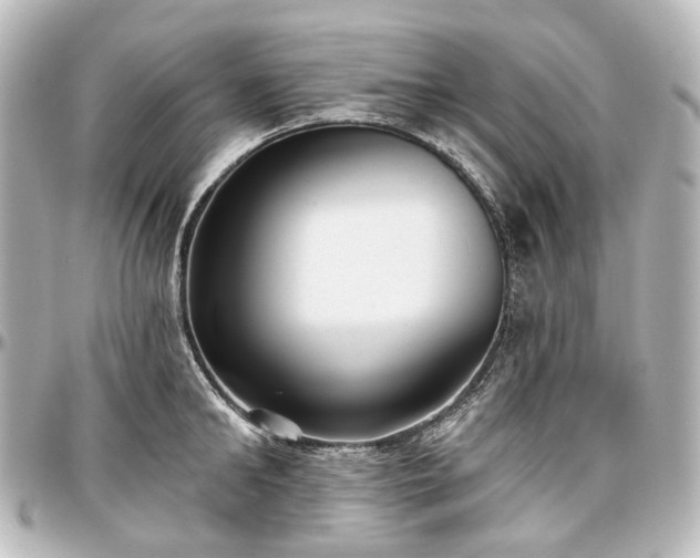 X0000097290902200802221309
