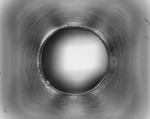X0000097290904200802221309