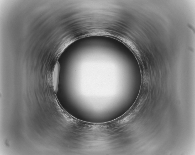 X0000097290905200802221309