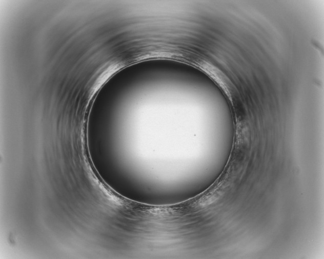 X0000097290906200802221309