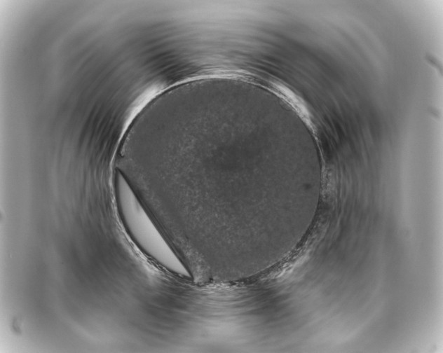X0000097290907200802221309