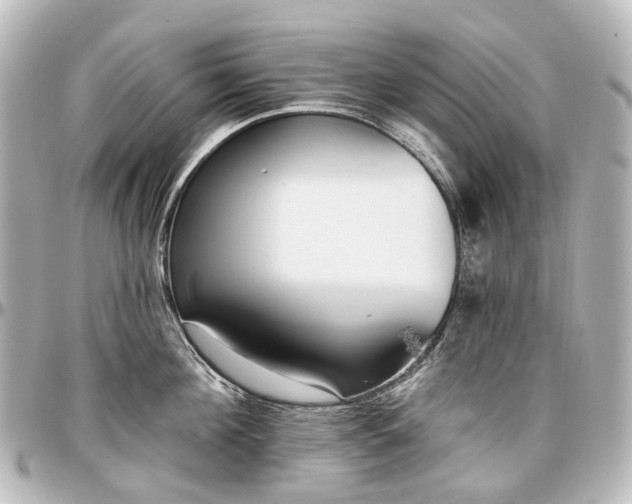 X0000097290908200802221309