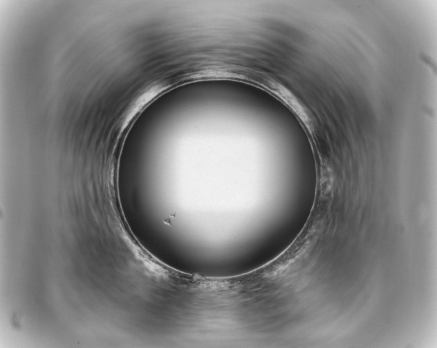 X0000097290909200802221309