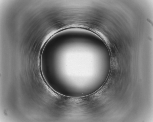 X0000097290910200802221309