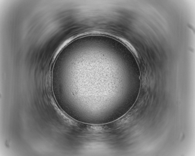 X0000097290911200802221309