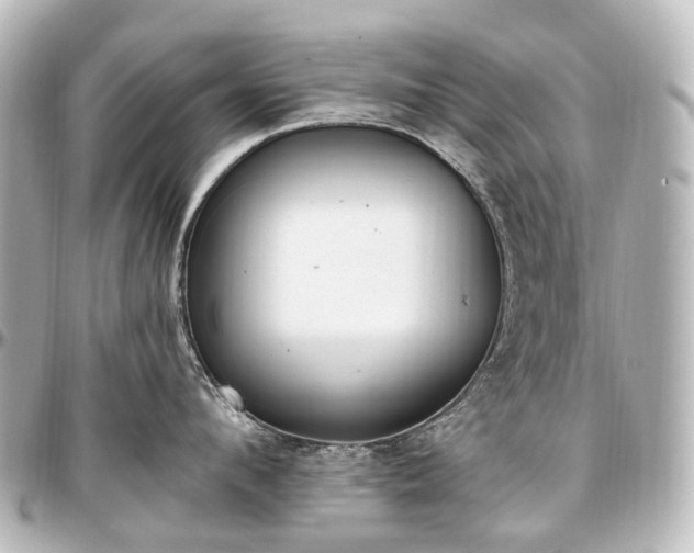 X0000097290912200802221309