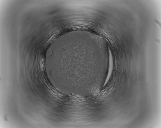 X0000097290915200802221308