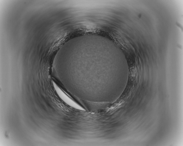 X0000097290916200802221308