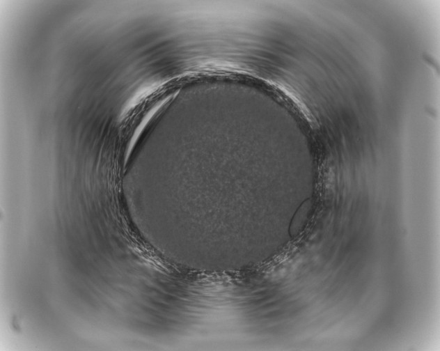 X0000097290919200802221308