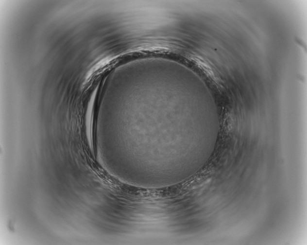 X0000097290920200802221308