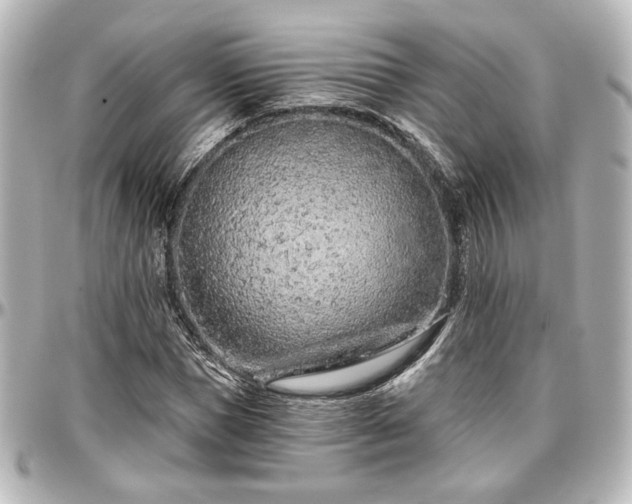X0000097290921200802221308