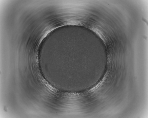 X0000097290923200802221308