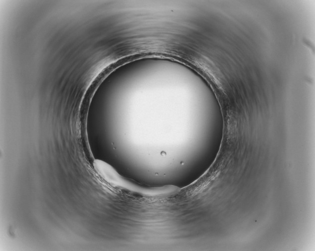 X0000097290924200802221308